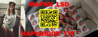 дмт Будённовск