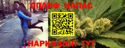 шишки Бузулук