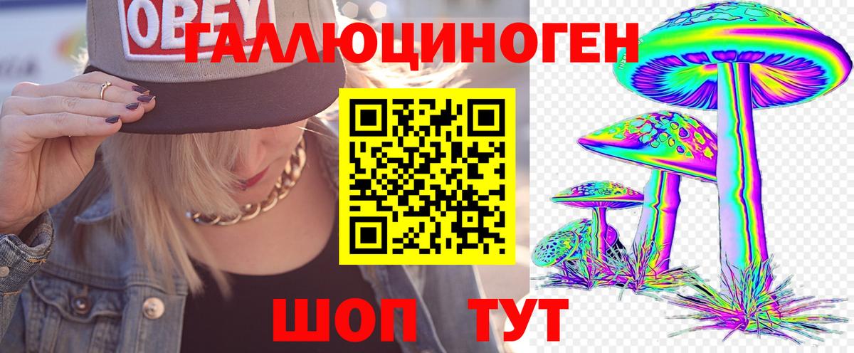 Славгород  купить   Вход с VPN  Псилоцибиновые грибы GOLDEN TEACHER  Галлюциногенные грибы Magic Shrooms 