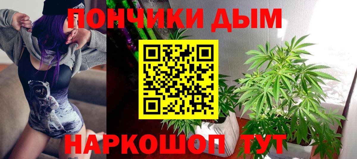 Бошки Шишки план  Бошки Шишки план  Вход с VPN  Славгород  Конопля семена 